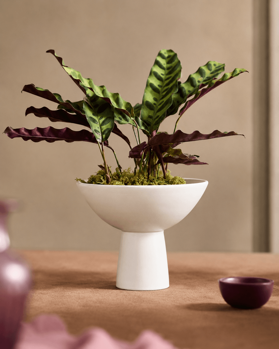 Aster Ceramic Vase White