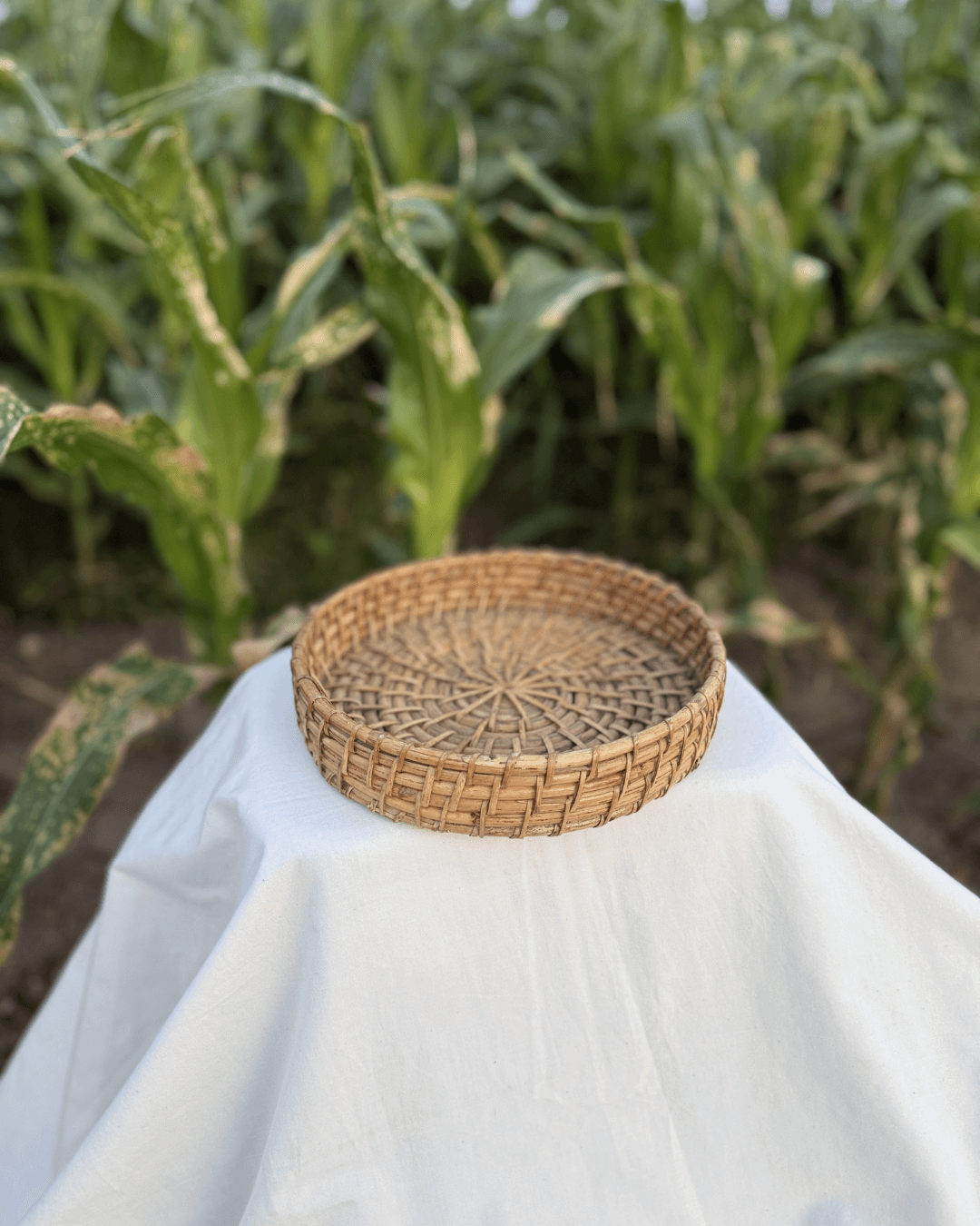 Round Cane Trays