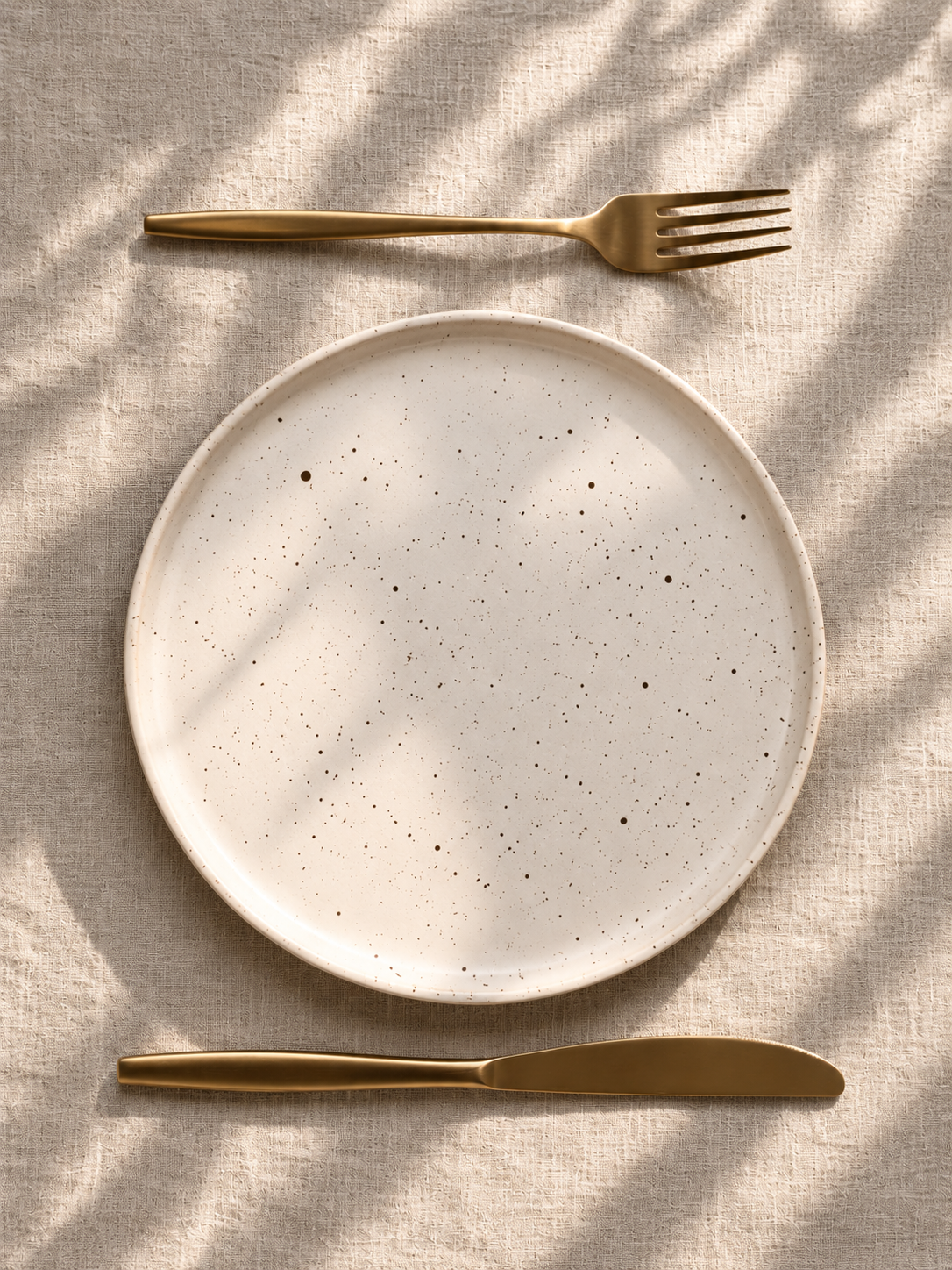 Speckled Ceramic Dinner Plates Set of 2 | Handmade-Style Stoneware Plates | Kolus Home