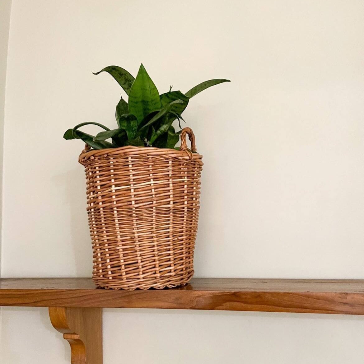 Wicker basket with a plant on a wooden shelf against a white wall