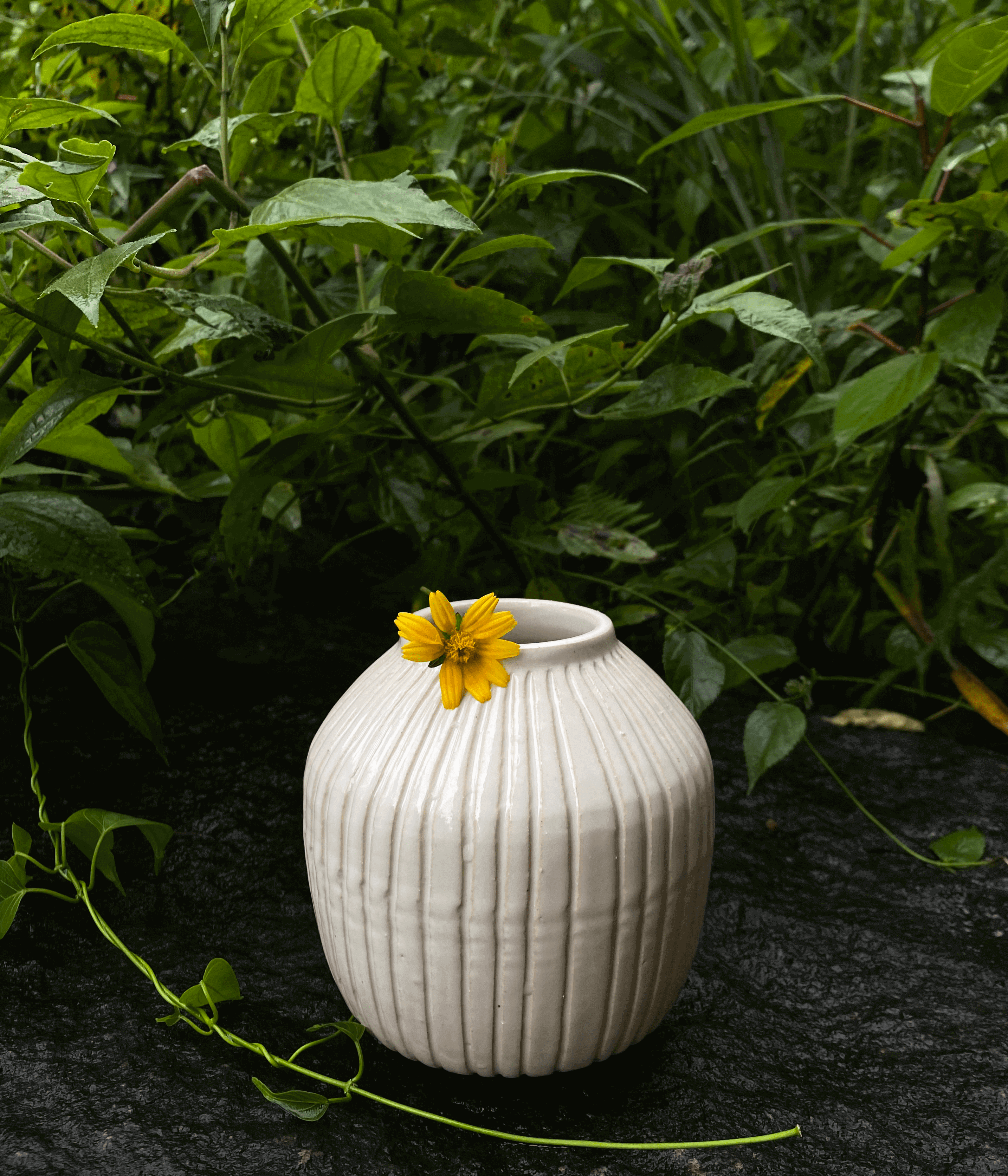 Cosmos White Ceramic Vase