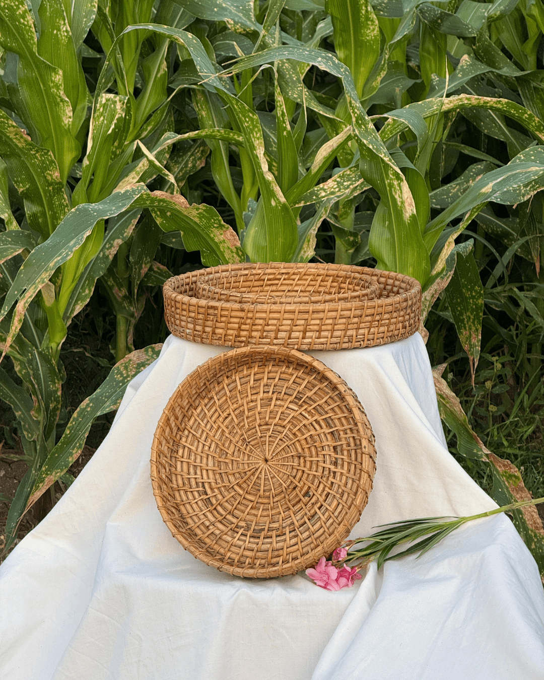 Round Cane Trays