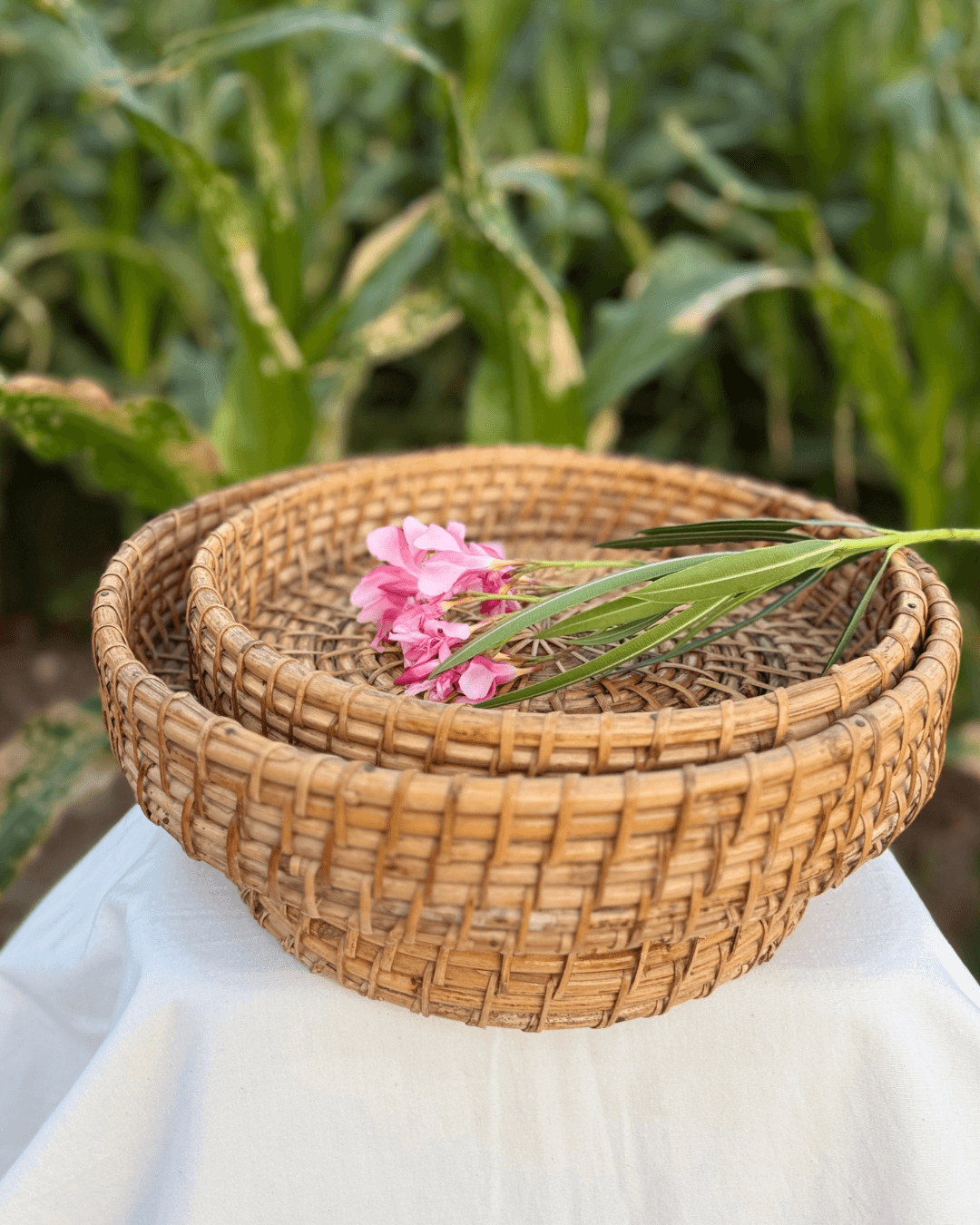 Round Cane Trays
