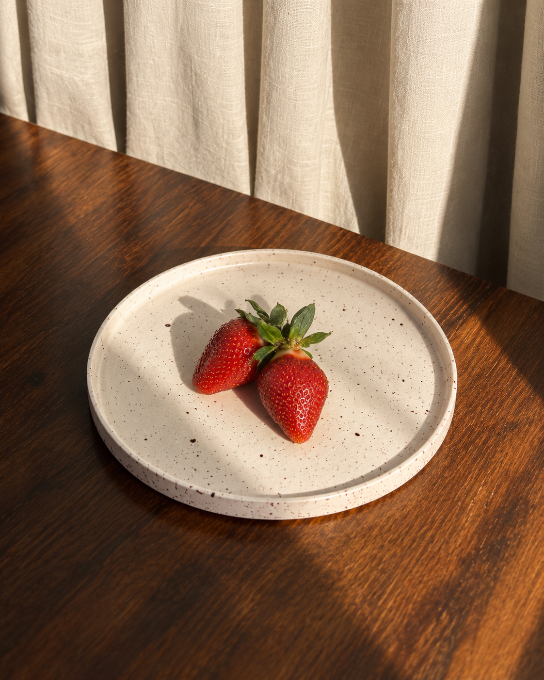 Speckled Ceramic Dinner Plates Set of 2 | Handmade-Style Stoneware Plates | Kolus Home