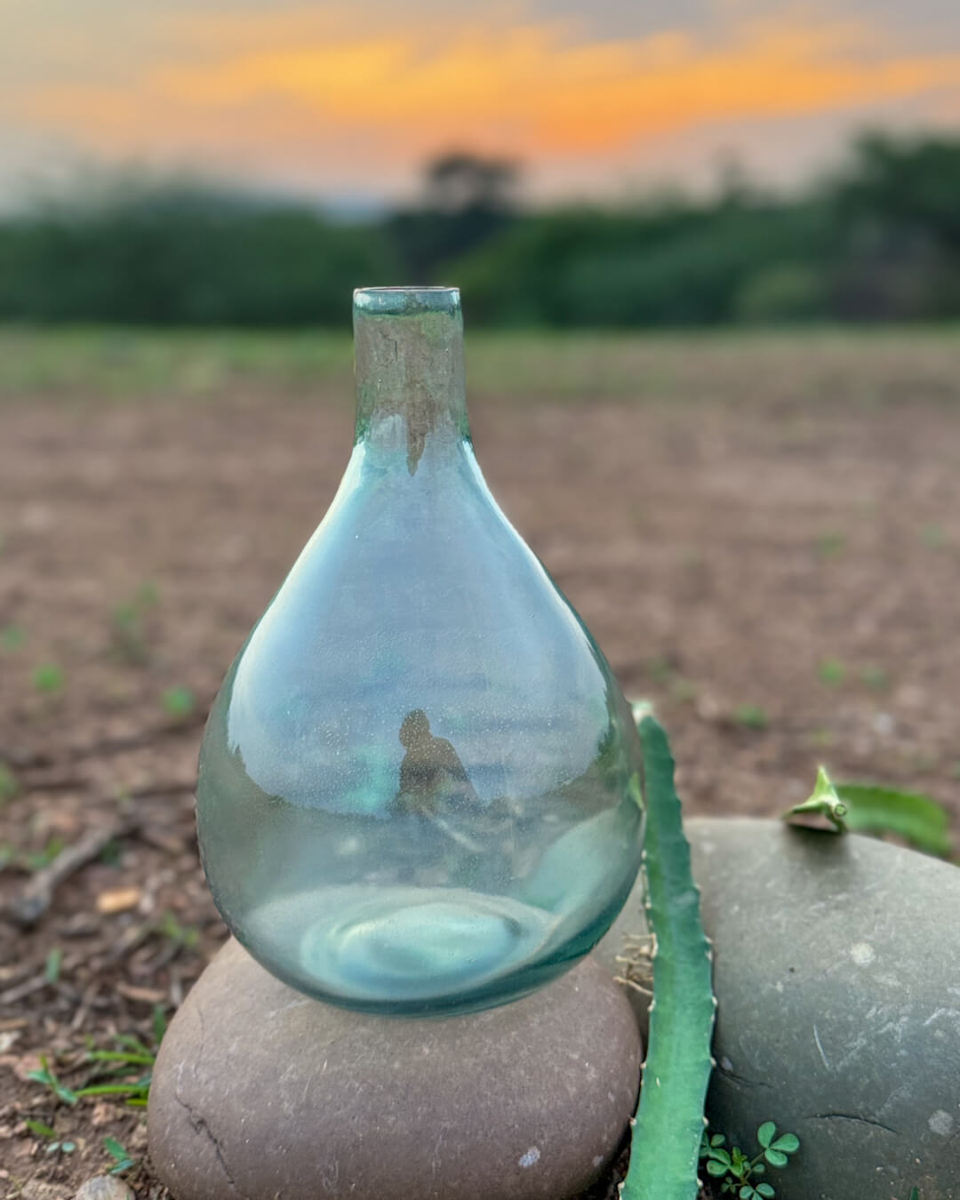 The Mist Teardrop Glass Vase