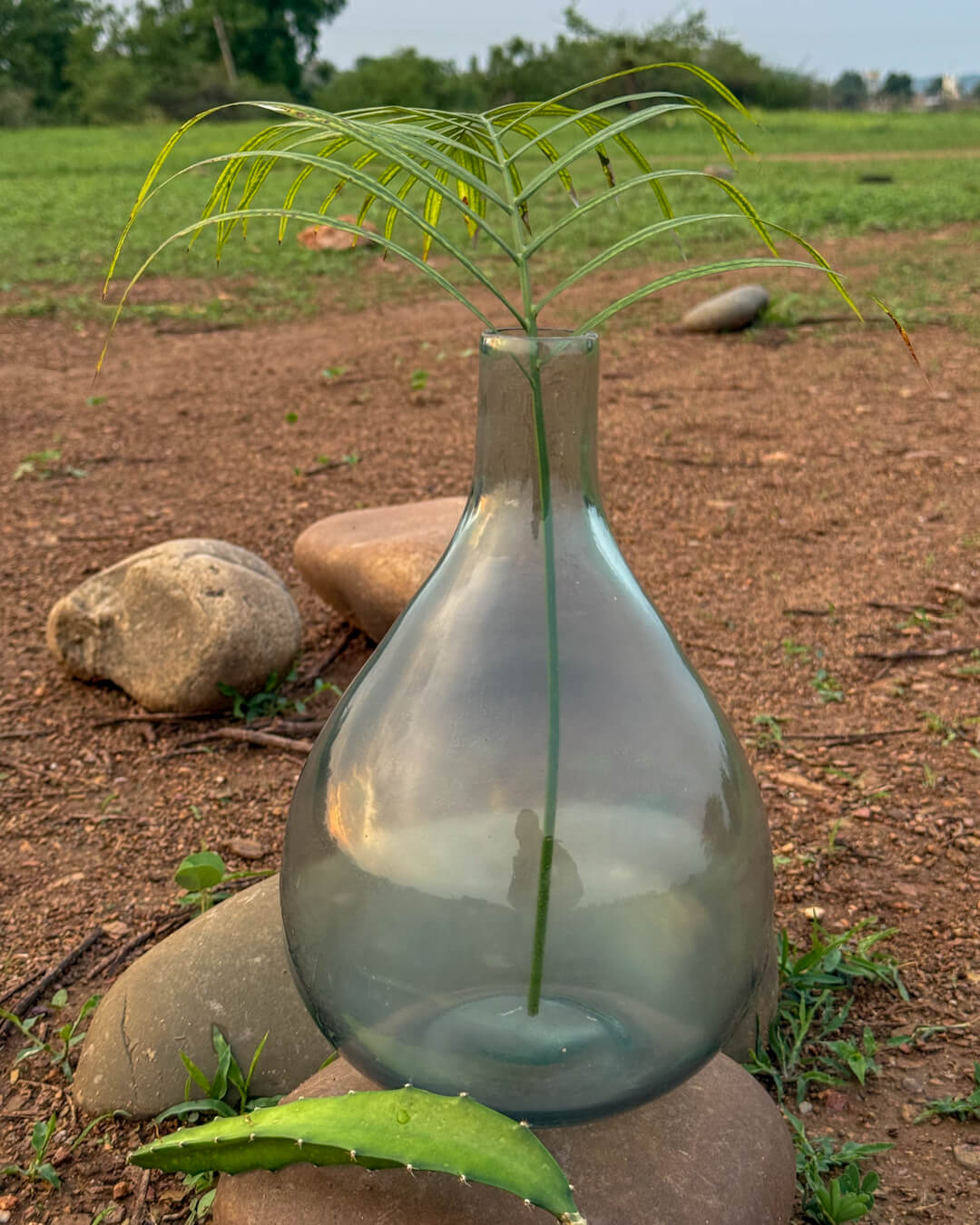 The Mist Teardrop Glass Vase
