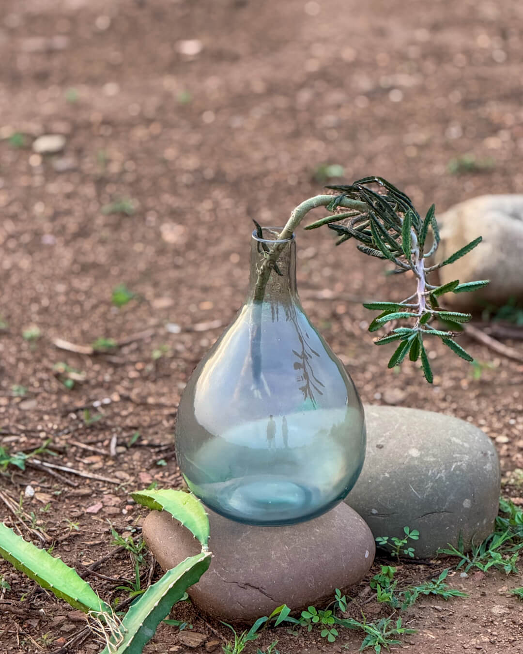 The Mist Teardrop Glass Vase